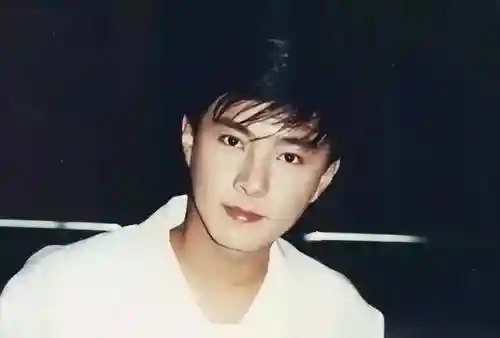 小鱼儿最强阵容搭配(闪烁之光最强阵容)插图3