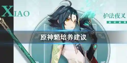 原神魈搭配阵容实战(原神魈圣遗物搭配)插图