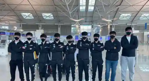 秀妹冠军阵容怎么搭配(放置奇兵纯森林瓦妹最终阵容)插图
