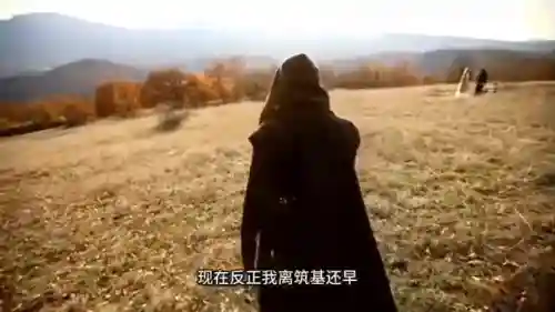低级抓鬼阵容搭配推荐(阴阳师平民最强阵容搭配图解)插图1