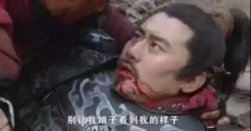 岳飞阵容搭配技巧攻略图(张飞开荒最稳的一套阵容)插图12