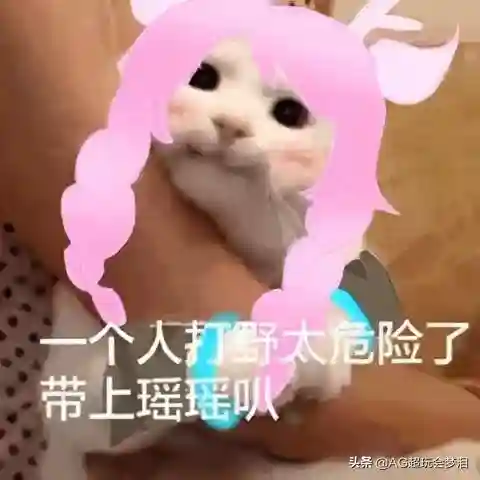 回血无敌的阵容搭配(魔法无敌最强阵容)插图