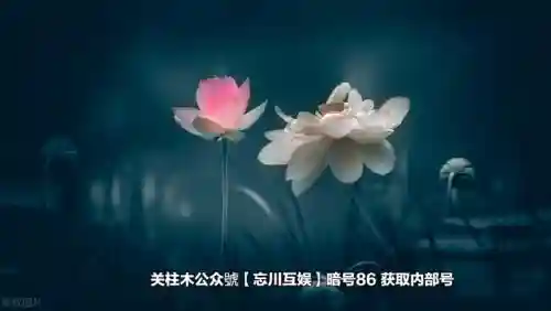 文丑阵容怎么搭配最好看(咸鱼之王俱乐部疯狂文丑阵容)插图