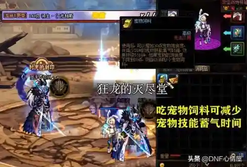 巴卡尔团本阵容搭配(桑巴军团最强阵容)插图1