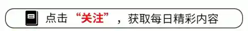 蛇矛阵容前期搭配什么(三国志战略版阵容搭配)插图