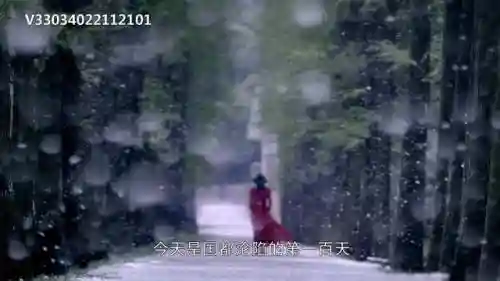 蝶影演员阵容搭配(女神蝶魂环搭配最强的输出)插图5