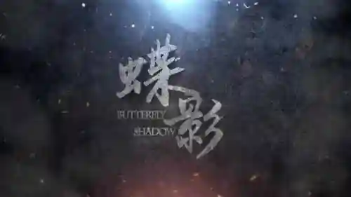 蝶影演员阵容搭配(女神蝶魂环搭配最强的输出)插图4