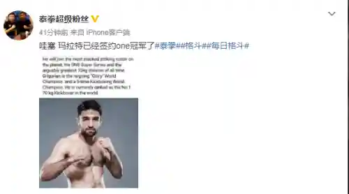 羽量级选手搭配什么阵容(超能合体鸭顶级阵容)插图