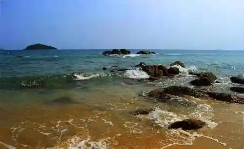 林间梦境用什么阵容搭配(绯色梦境最强阵容推荐)插图2