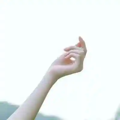 陈鑫破甲队阵容搭配(程昱贾诩夏侯惇完美阵容)插图