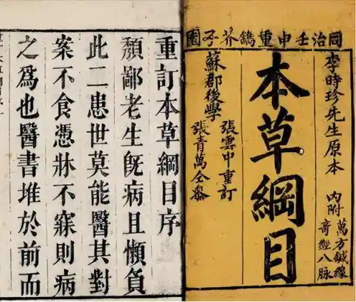神龙双圣阵容搭配攻略(双生幻想魔龙阵容)插图9