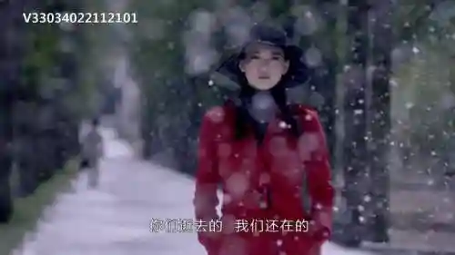 蝶影演员阵容搭配(女神蝶魂环搭配最强的输出)插图16