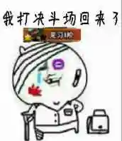 鹰佐怎么搭配阵容装备(鹰佐两种组合技有什么区别)插图2 鹰佐怎么搭配阵容装备(鹰佐两种组合技有什么区别)插图2