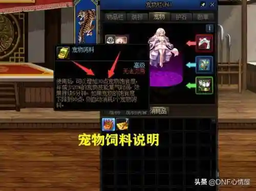 巴卡尔团本阵容搭配(桑巴军团最强阵容)插图