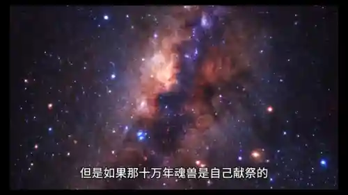 魂师对决小将阵容搭配(魂师对决后期最强阵容T0)插图5