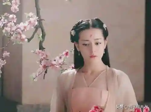 极青丘场景阵容搭配(极地拉面熊阵容装备)插图