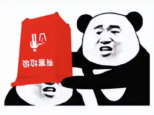 使命召唤奇葩阵容搭配推荐(使命召唤16在哪里买)插图2
