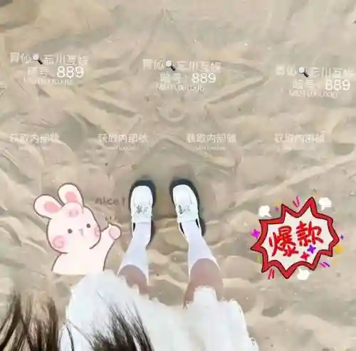 花园大战僵尸阵容搭配攻略(植物大战僵尸花园战争3下载)插图1