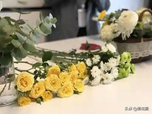 新赛季花环怎么搭配阵容(pk赛季s5 t0阵容)插图1