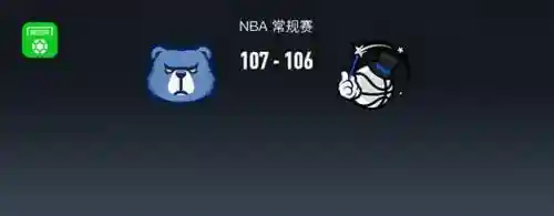 魔术灰熊阵容搭配图片(黑白双熊时期灰熊阵容)插图