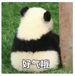 下棋全龙阵容搭配最新(lol自走棋阵容搭配)插图