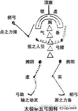 合作五弓阵容搭配推荐(三国志战略版扒皮弓阵容)插图