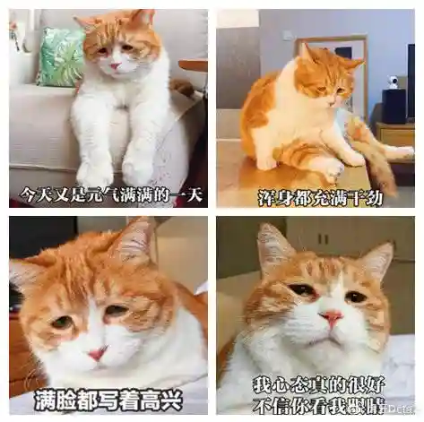 暗三猫悬赏阵容搭配(暗夜兵团最佳阵容)插图4