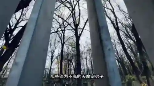 低级抓鬼阵容搭配推荐(阴阳师平民最强阵容搭配图解)插图3