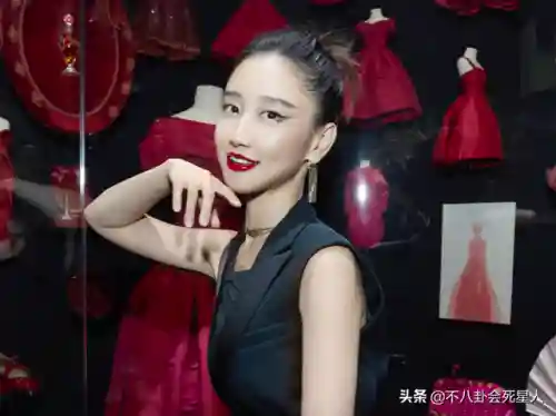 杜拉拉升职记的演员阵容(杜拉拉升职记队伍配置)插图7