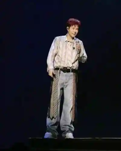 演唱会最帅的阵容是谁(演唱会穿什么衣服合适拍照)插图3