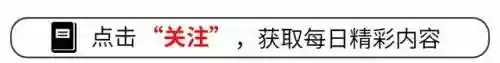 无尽阵容打谁笑到最后一场(植物大战僵尸谁能笑到最后阵容)插图
