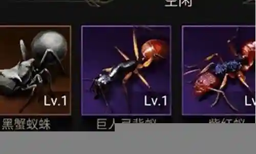 蚂蚁觉醒阵容搭配攻略插图