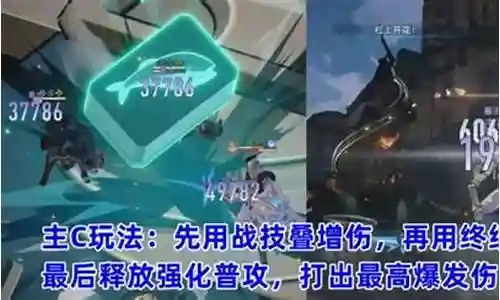 青雀怎么搭配阵容最好插图