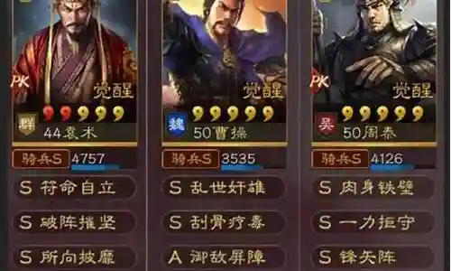 双袁术怎么搭配阵容插图