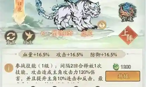 搭配白虎的阵容插图