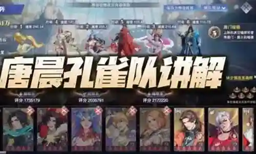 光明孔雀悬赏阵容搭配插图