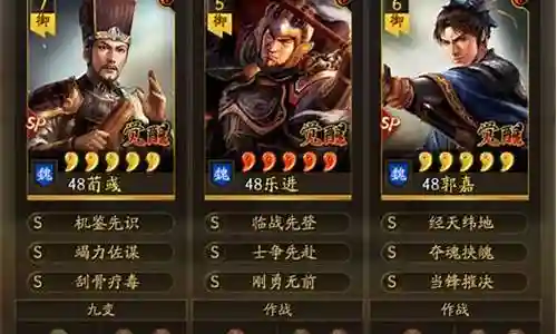 乐进魏盾阵容搭配插图