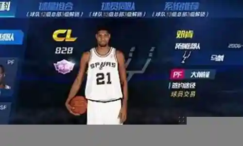 篮球阵容体系搭配图片大全插图