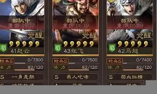 新版赵云打斗阵容搭配图插图