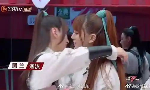 姐姐二公阵容搭配图插图