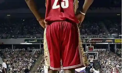 骑士2007年阵容数据插图