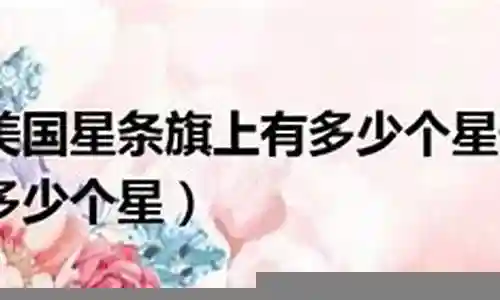美国5星号阵容对比插图