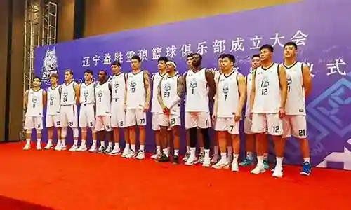 2012辽宁篮球阵容名单插图