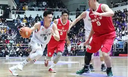 2012年清华男篮阵容插图