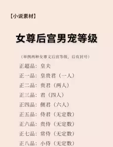 二世男妃攻略好感插图