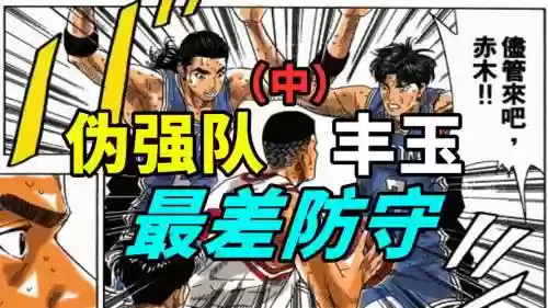 丰玉阵容插图1