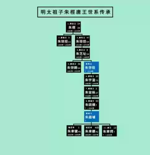 唐王阵容讲解插图1