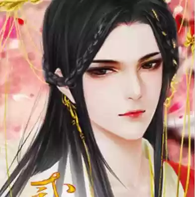 二世男妃攻略好感插图1