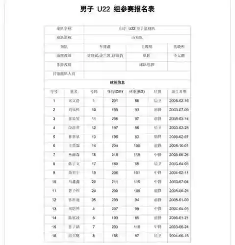 全运会阵容分析插图