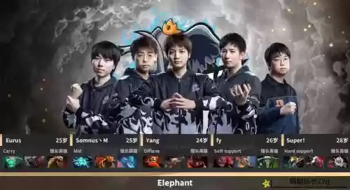 小象败者阵容插图1